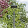 Oprawa parkowa LED PARCOLI 50W CCT 8000lm szara IP66 IK08 Kanlux 36435 zastosowanie w parku