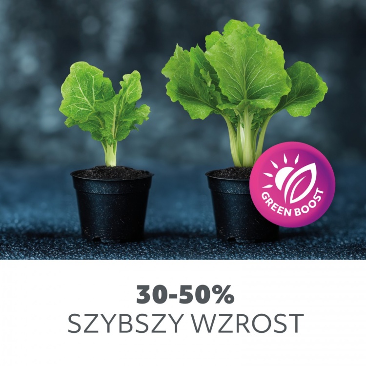 Żarówka do roślin LED PLANTY B 9W E27 1200K czarna Kobi Design
