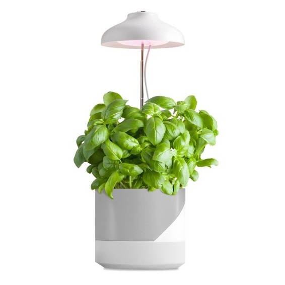 Lampa do roślin LED VERDI 5W 3200K Kobi Design