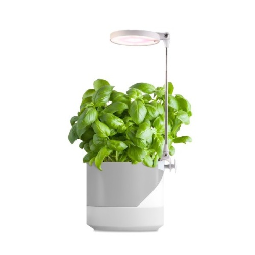 Lampa do roślin LED VERDI 10W 3200K Kobi Design