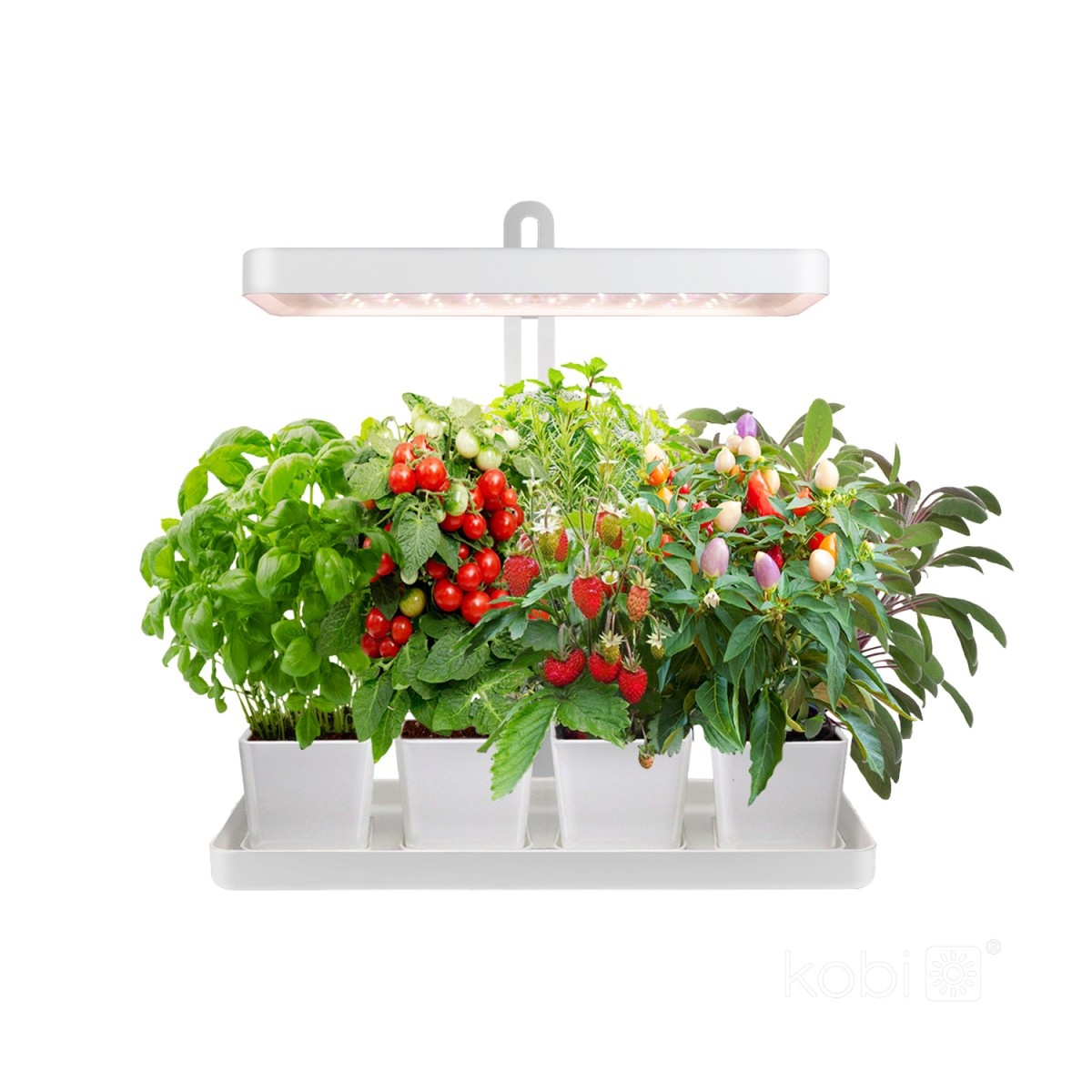 Lampa do roślin LED BLOOM 20W 3500K Kobi Design