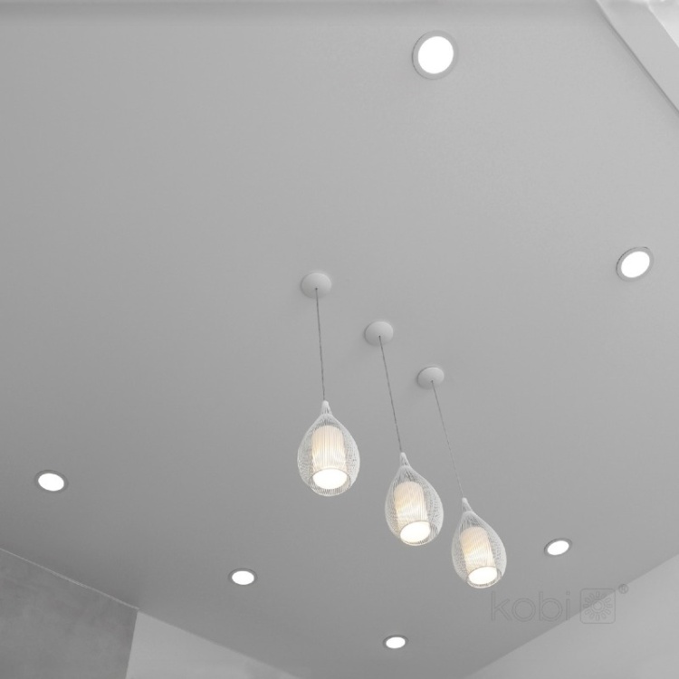 Downlight LED NEXEYE NE1 30W 4000K IP44 Kobi Pro zastosowanie