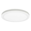 Plafon LED PLASCO 24W CCT 2550/3800lm Greenlux