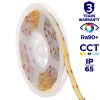 Taśma LED STRIP LCOB 12V 14W/1m CCT 2700-6500K 5m 1260lm/1m CRI90+ IP65 Kanlux 38912 infografiki