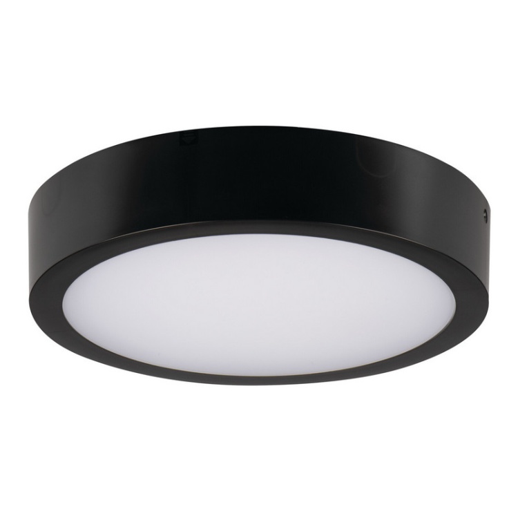 Plafoniera DABER LED CCT z czujnikiem ruchu 12-20W 2560lm ∅300mm IP66 czarna Kanlux 38931
