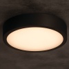 Plafoniera DABER LED CCT 12-20W 2560lm ∅300mm IP66 czarna Kanlux 39026 ciepłe światło