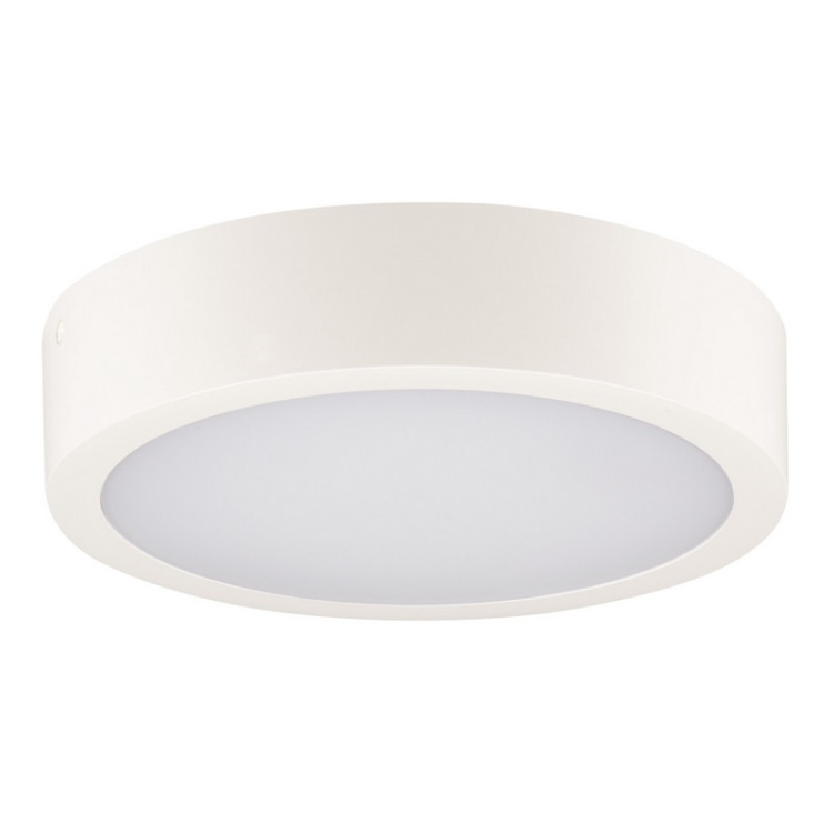Plafoniera DABER LED CCT 12-20W 2630lm ∅300mm IP66 biała Kanlux 39024