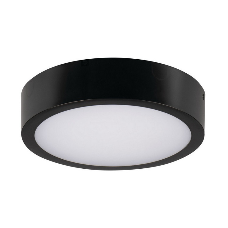 Plafoniera DABER LED CCT z czujnikiem ruchu 8-13W 1490lm ∅250mm IP66 czarna Kanlux 39023