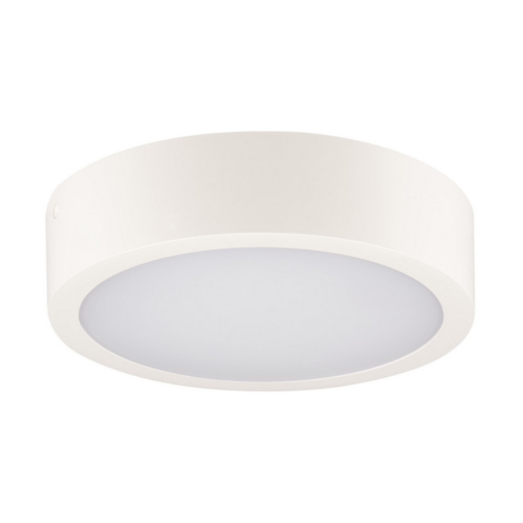 Plafoniera DABER LED CCT 8-13W 1510lm ∅250mm IP66 biała Kanlux 39020