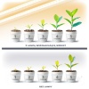 Lampa do roślin LED GROWLY 2x8,5W Kobi Design rezultaty wykorzystania
