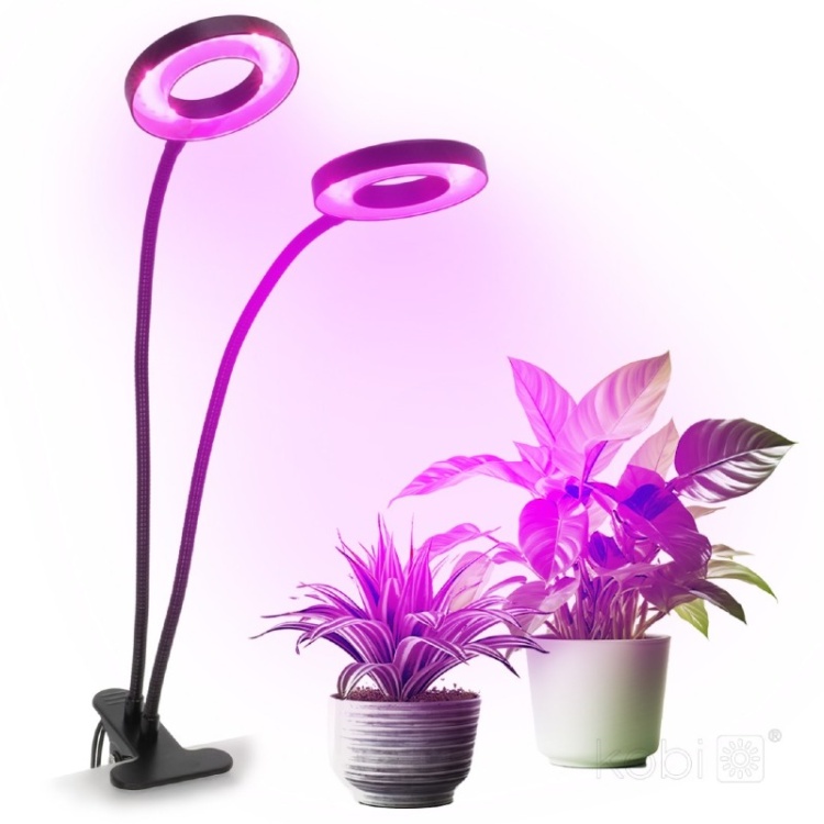 Lampa do roślin LED VITARO RING 2 CLIP 8W Kobi Design zastosowanie
