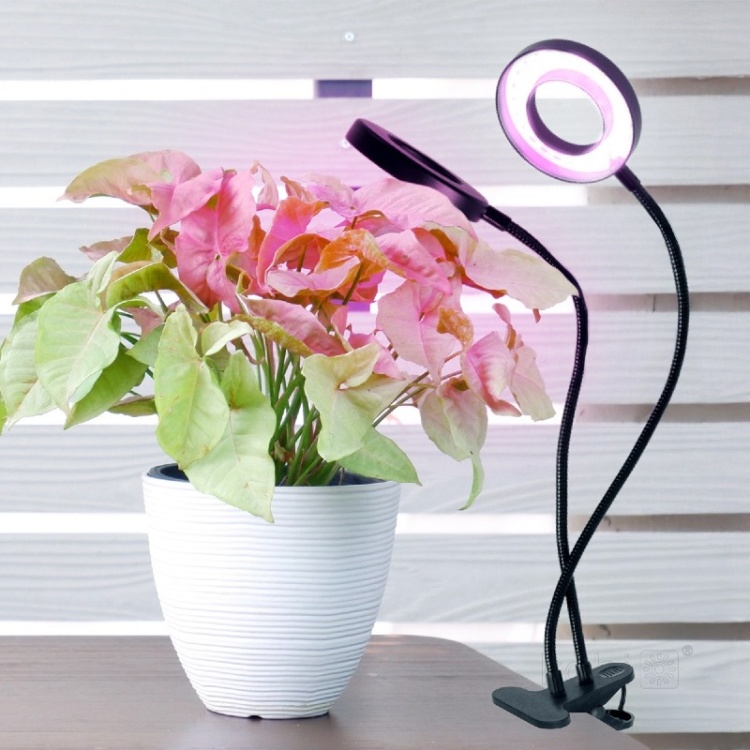 Lampa do roślin LED VITARO RING 2 CLIP 8W Kobi Design wykorzystanie
