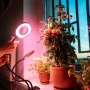 Lampa do roślin LED VITARO RING 2 CLIP 8W Kobi Design aranżacja