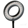 Lampa do roślin LED VITARO RING 2 CLIP 8W Kobi Design