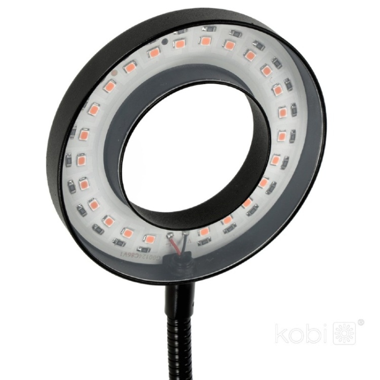 Lampa do roślin LED VITARO RING 2 CLIP 8W Kobi Design