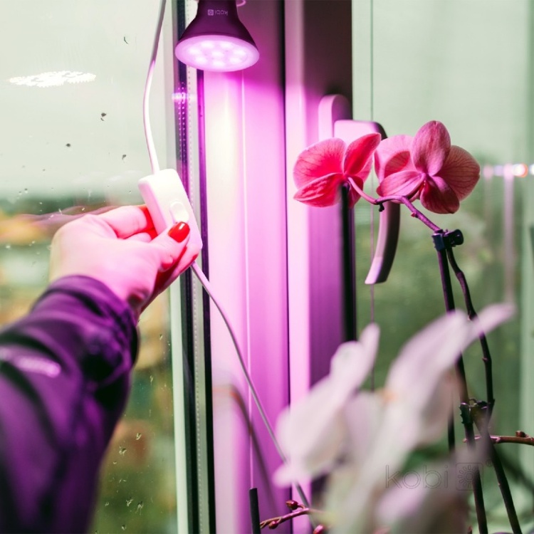 Żarówka do roślin LED PLANTY B 7W E27 1200K czarna Kobi Design aranżacja