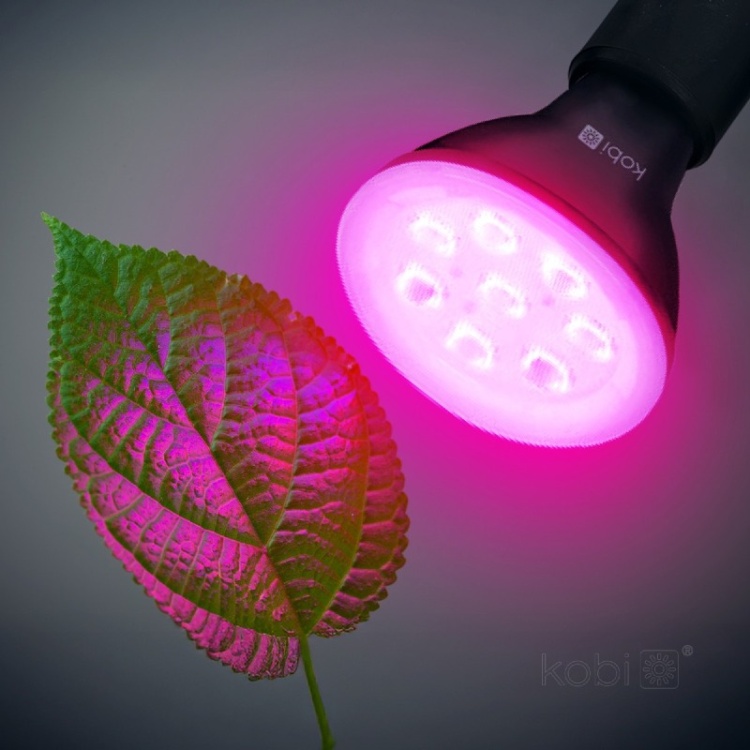 Żarówka do roślin LED PLANTY B 7W E27 1200K czarna Kobi Design zastosowanie