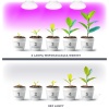 Żarówka do roślin LED PLANTY W 7W E27 1200K biała Kobi Design rezultaty wykorzystania