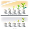 Lampa do roślin LED GROWLY 15W Kobi Design rezultat wykorzystania