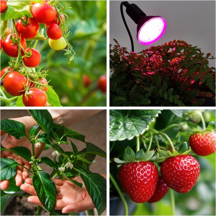 Lampka biurkowa PLANTY CLIP B 1xE27 czarna Kobi Design wykorzystanie