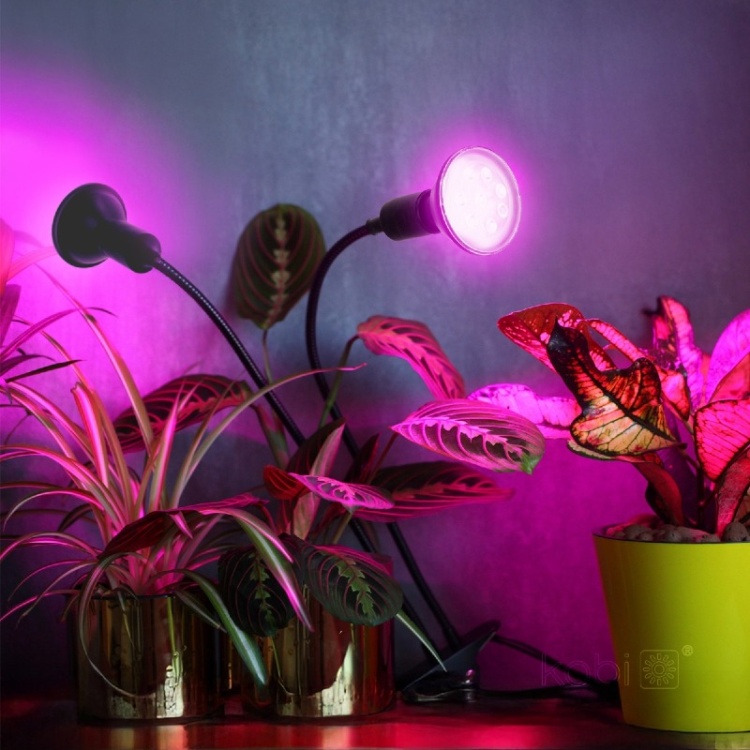 Lampka biurkowa PLANTY CLIP B DUO 2xE27 czarna Kobi Design zastosowanie