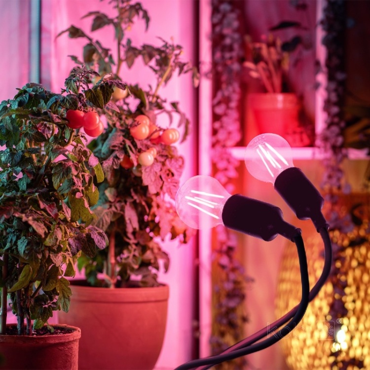Lampka biurkowa PLANTY CLIP B DUO 2xE27 czarna Kobi Design aranżacja