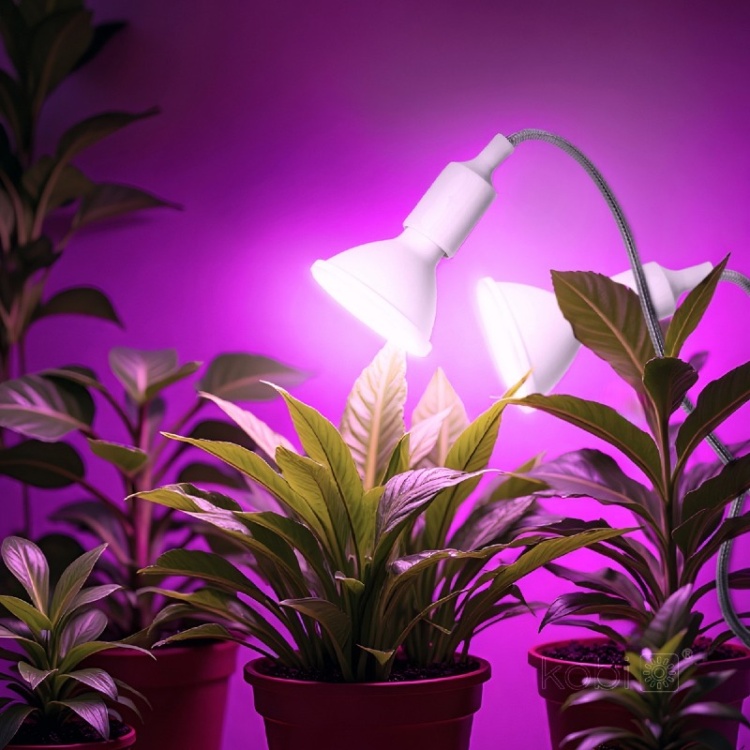 Lampka biurkowa PLANTY CLIP W DUO 2xE27 biała Kobi Design zastosowanie