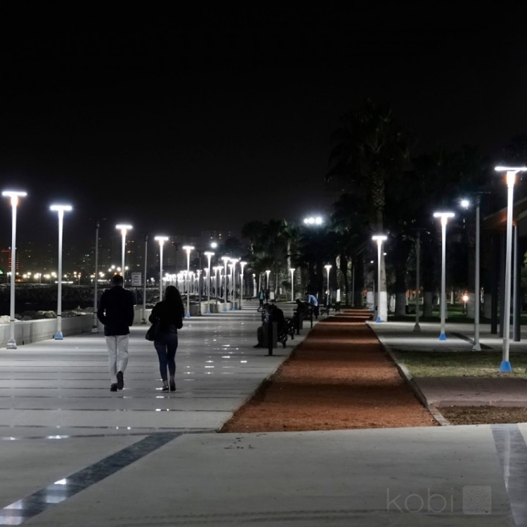 Oprawa parkowa Solar LED LUVIA 15W 6500K IP54 LED2B aranżacja