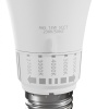 LED GLS E-27 230V 13W 5CCT SPECTRUM zbliżenie