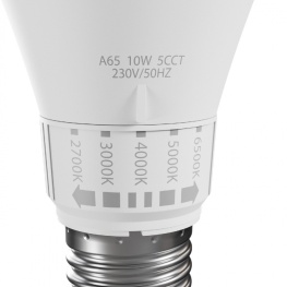 LED GLS E-27 230V 10W 5CCT SPECTRUM regulacja