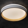 Plafon sufitowy LED SOLN 25W CCT 1460lm ściemnialna biało-złoty Kanlux barwa trochę ściemniona