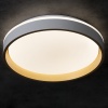 Plafon sufitowy LED SOLN 25W CCT 1460lm ściemnialna biało-złoty Kanlux barwa neutralna