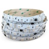Taśma LED cyfrowa RGB SMD5050