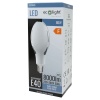 Żarówka LED przemysłowa Rocket E40 80W 6000K 8000lm 300° Ecolight opakowanie