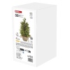 Dekoracje - choinka 30 LED, 50 cm, ciepła biel, IP44, timer