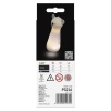Opakowanie lampki nocnej LED koala EMOS P3216
