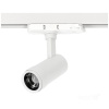 Reflektor ekspozycyjny LED 20W biały