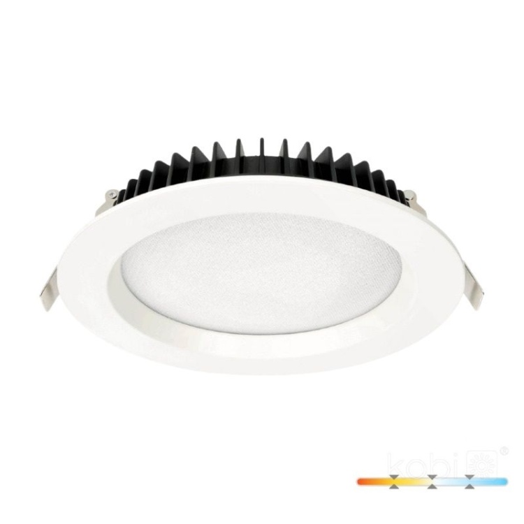 Downlight LED NEXEYE 20W IP44