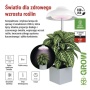 Lampa GROW USB-A 5V do roślin domowych