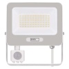 EMOS ZS2344W naświetlacz LED PIR