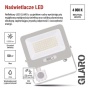 Naświetlacz LED 50W biały z czujnikiem ruchu