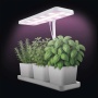 Lampa LED GROW EMOS 7W do roślin