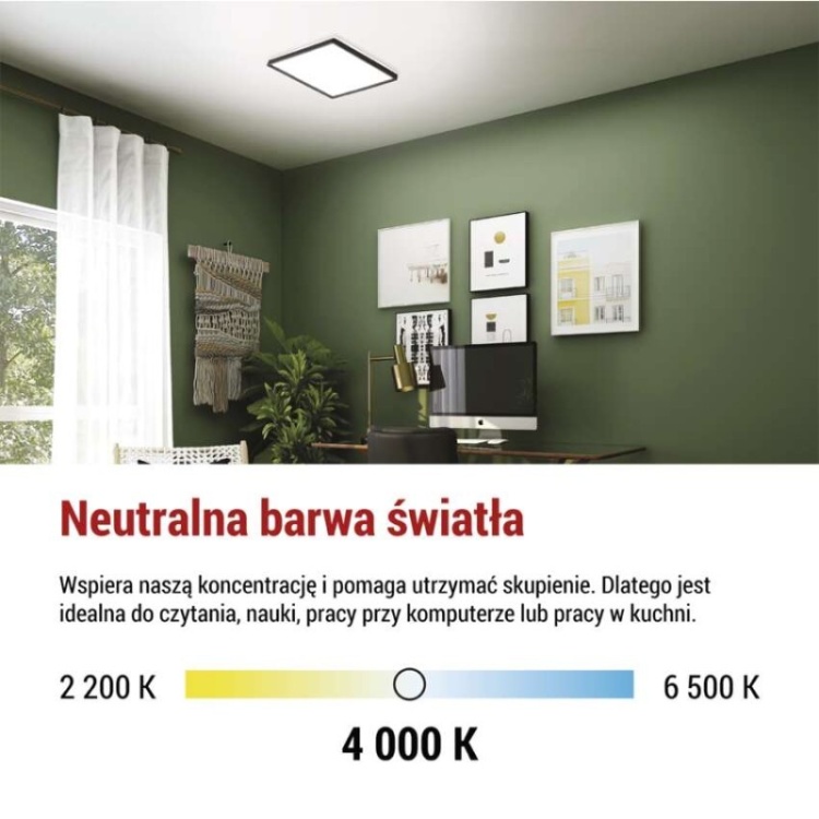 Plafon LED EMOS FLORI czarny