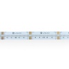 Taśma LED RGBW CCT COB
