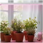 Doświetlanie roślin domowych LED GROWLY