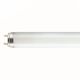 Świetlówka liniowa OSRAM LUMILUX T8 18W 6500K