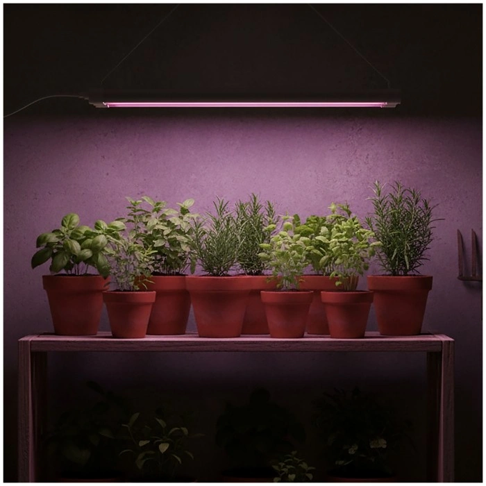 Oświetlenie LED do roślin GROWLY.jpg