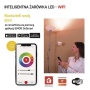 GoSmart Żarówka LED A65 / E27 / 14 W (94 W) / 1 400 lm / RGB / ściemnialna / WiFi