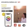GoSmart Żarówka LED świeczka / E14 / 4,8 W (40 W) / 470 lm / RGB / ściemnialna / WiFi