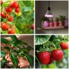 Żarówka do wzrostu roślin 7W E27 PPF 7,4 μmol/s